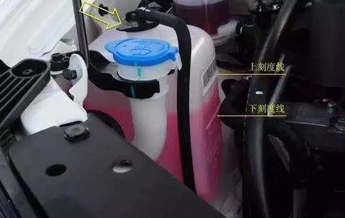 加汽车防冻液多少钱