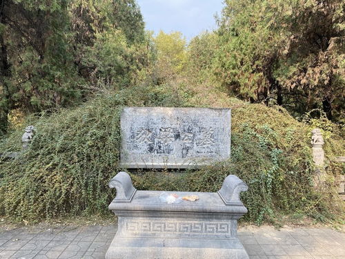 洛阳文旅确认白马寺内为狄仁杰墓