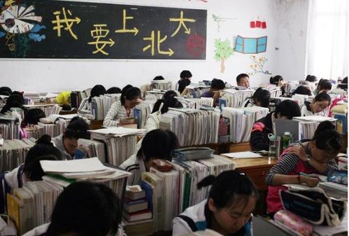 武汉一高中生获1790000元奖学金