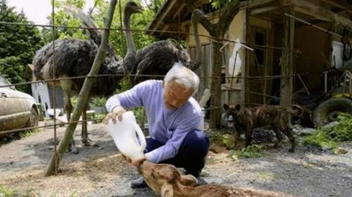 三亚通报网友买水果九斤变六斤