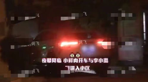 贾乃亮全家出游 被猜与李小璐复合
